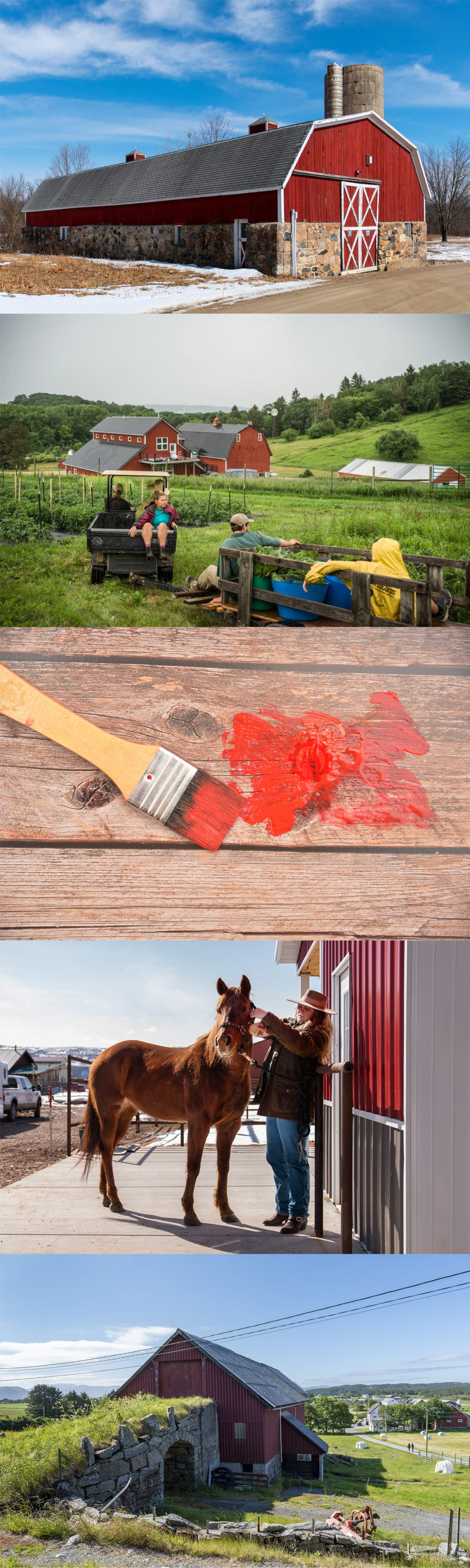 Barny Red - collection of barn images